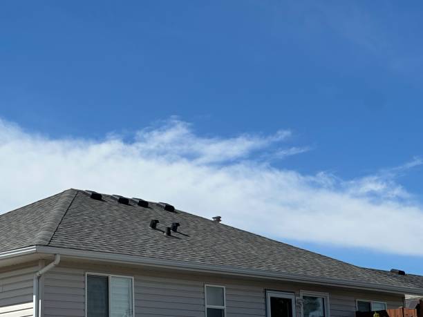 Best Metal Roofing Installation  in Cohoes, NY